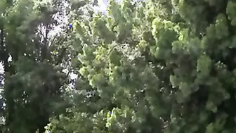 Adriana Nicole Takes An Anal Cream Pie And Oh So Much More!