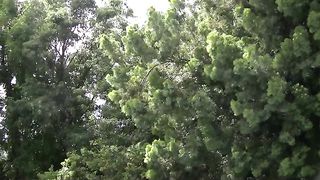 Adriana Nicole In A Forty Eight Minute Interracial Anal Sex Video!