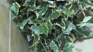 Adriana Nicole Full Double Penetration Sex Video!