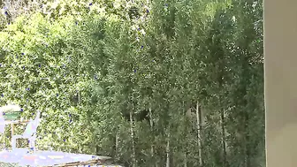 Cassidey Clay Gets A Cream Pie And A Facial!