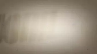 Jayden Lee Down On The Floor For A Hard Fucking!