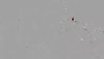 Jessica Ryan Hooks Up With Ryan Madison And Swallows His Cum!