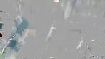 Jamie Jackson Giving Up That Sexy Co-Ed Pussy Of Hers!