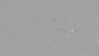 Jenna Ashley Takes A Good Fucking From Ryan Madison!