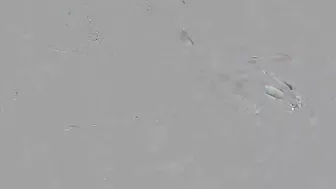 Jenna Ashley Takes A Good Fucking From Ryan Madison!