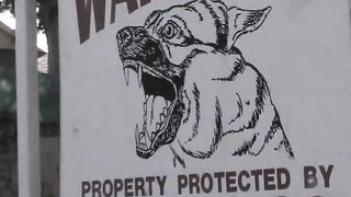 Christina Aguchi Gets A Pearl Necklace!