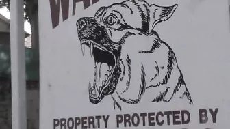 Christina Aguchi Gets A Pearl Necklace!