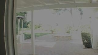 Kaci Star Takes A Big Black Cock In Her Asshole!