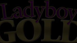 Ladyboy Cartun Ends Up Nude Stroking Her Cock!