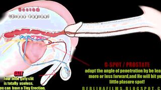 Open Your Ass For Cock Sissy Anal Trainer Video!