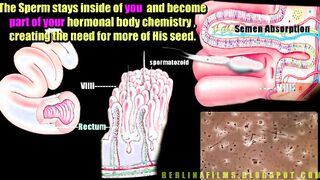 Open Your Ass For Cock Sissy Anal Trainer Video!