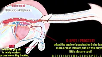 Open Your Ass For Cock Sissy Anal Trainer Video!