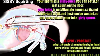 Open Your Ass For Cock Sissy Anal Trainer Video!