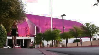 TS Jesse Nuts Right On His Face!