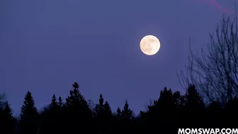 Mom Swap With Reagan Foxx And Katie Morgan!