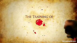 Skin Diamond For The Training Of O!