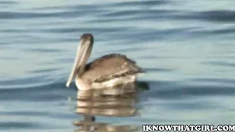 Micah Moore For I Know That Girl!