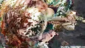 Dani Jensen Sucking Off Her Teacher!