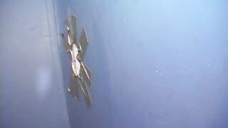 Bobbi Starr Is Happy Sucking A Big Black Cock At A Glory Hole!