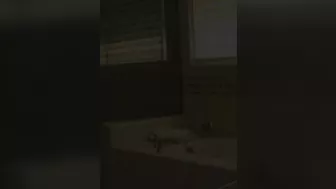 Misty Stone In A Lesbian Scene With Brooke Scott!