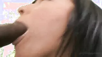 Ashli Orion Pleases A Big Black Cock With Her Sex Mouth!